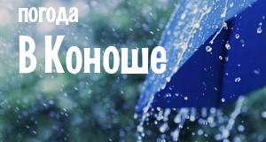 Погода в Коноше