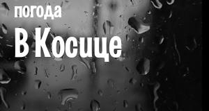 Погода в Косице