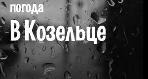 Погода в Козельце
