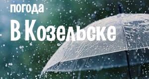 Погода в Козельске