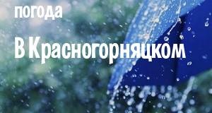 Погода в Красногорняцком