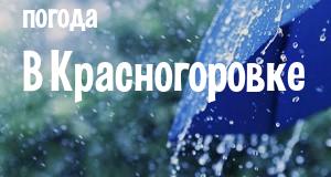 Погода в Красногоровке