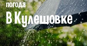 Погода в Кулешовке