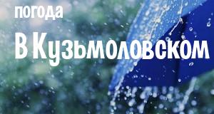 Погода в Кузьмоловском