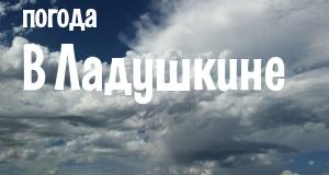 Погода в Ладушкине