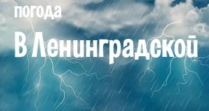 Погода в Ленинградской