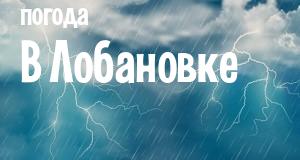 Погода в Лобановке