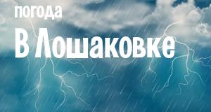Погода в Лошаковке
