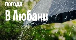 Погода в Любани