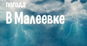 Погода в Малеевке