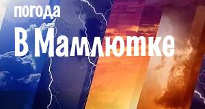 Погода в Мамлютке