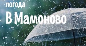 Погода в Мамоново