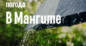 Погода в Мангите
