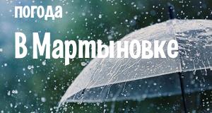 Погода в Мартыновке