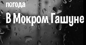 Погода в Мокром Гашуне