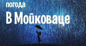 Погода в Мойковаце