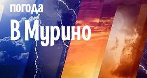 Погода в Мурино