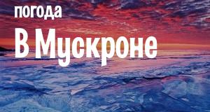 Погода в Мускроне