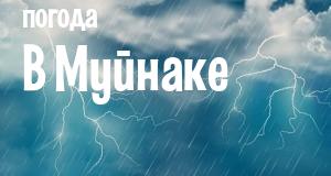 Погода в Муйнаке