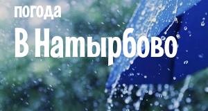 Погода в Натырбово