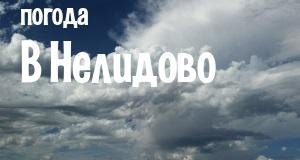 Погода в Нелидово