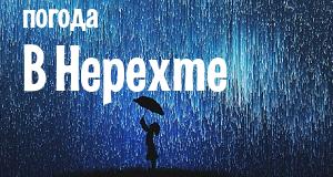 Погода в Нерехте