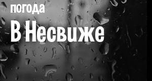 Погода в Несвиже