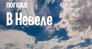 Погода в Невеле