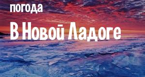 Погода в Новой Ладоге