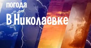Погода в Николаевке