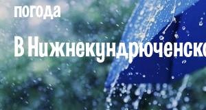 Погода в Нижнекундрюченской