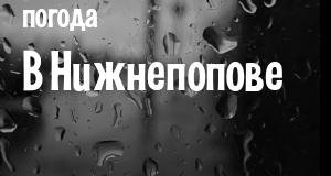 Погода в Нижнепопове