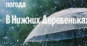 Погода в Нижних Деревеньках