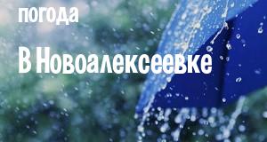 Погода в Новоалексеевке