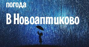 Погода в Новоаптиково