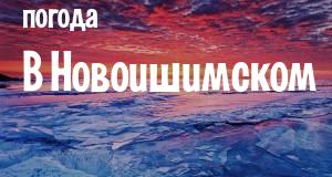 Погода в Новоишимском