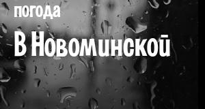 Погода в Новоминской
