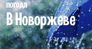 Погода в Новоржеве