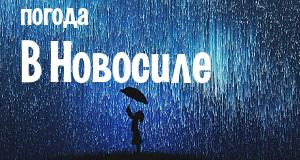 Погода в Новосиле