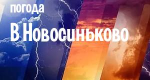 Погода в Новосиньково