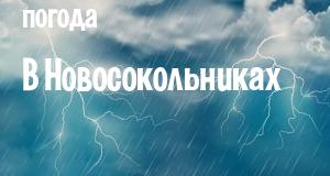 Погода в Новосокольниках