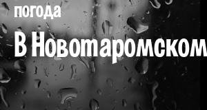 Погода в Новотаромском