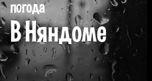 Погода в Няндоме