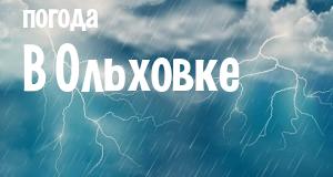 Погода в Ольховке