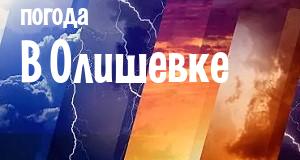 Погода в Олишевке