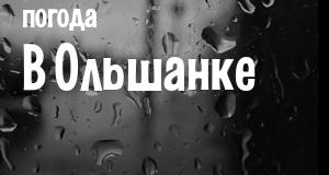 Погода в Ольшанке