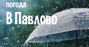 Погода в Павлово