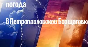 Погода в Петропавловской Борщаговке