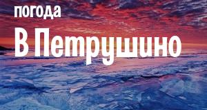 Погода в Петрушино