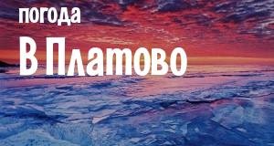 Погода в Платово